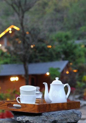 Mountain view villas and huts at Granny's Den near Dehradun
